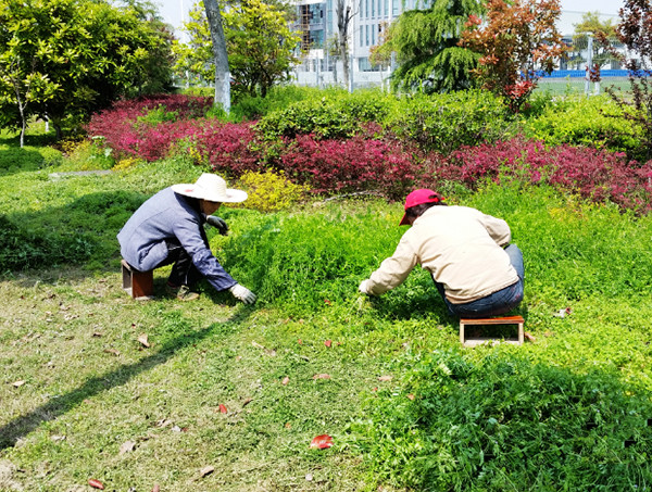 綠化養(yǎng)護(hù)